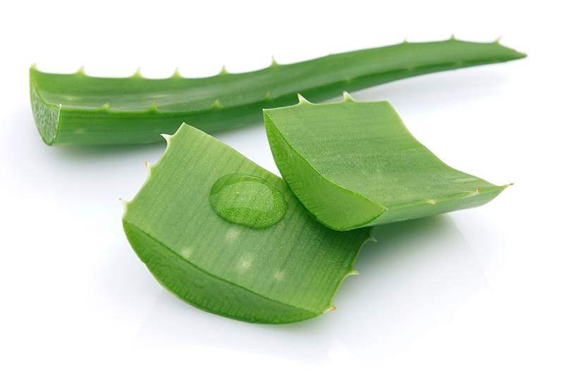 aloe vera health benefits