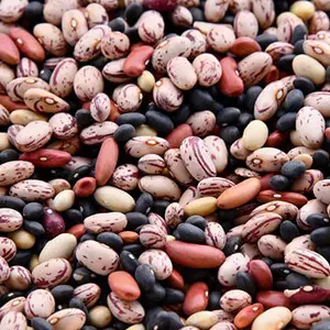 Beans has a number of hormone-related benefits