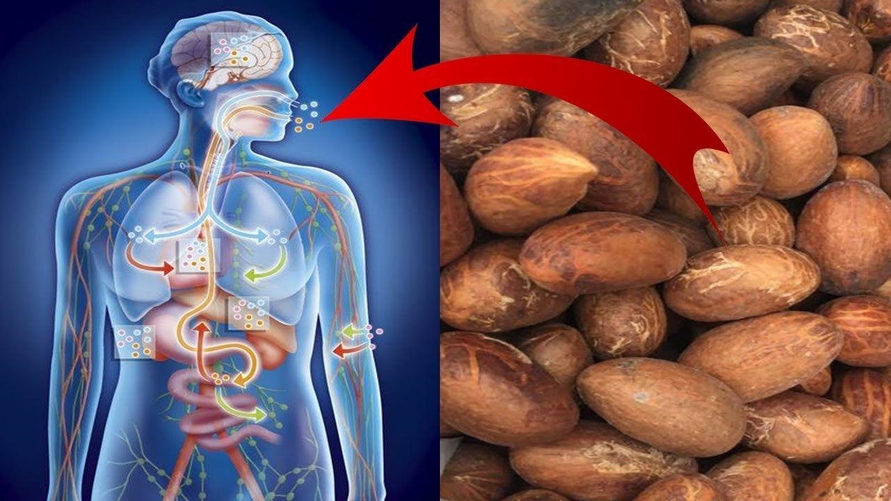 12 Amazing Health Benefits of Bitter Kola You Need to Know Epic