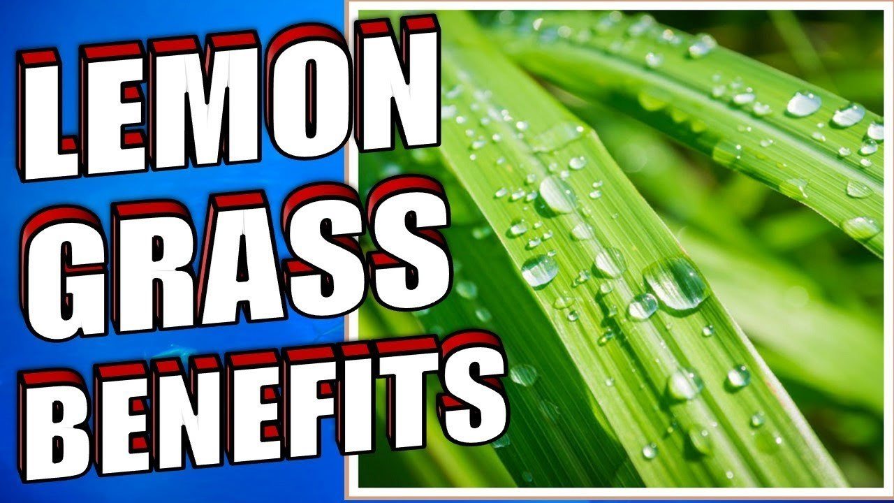 Lemon Grass Benefits