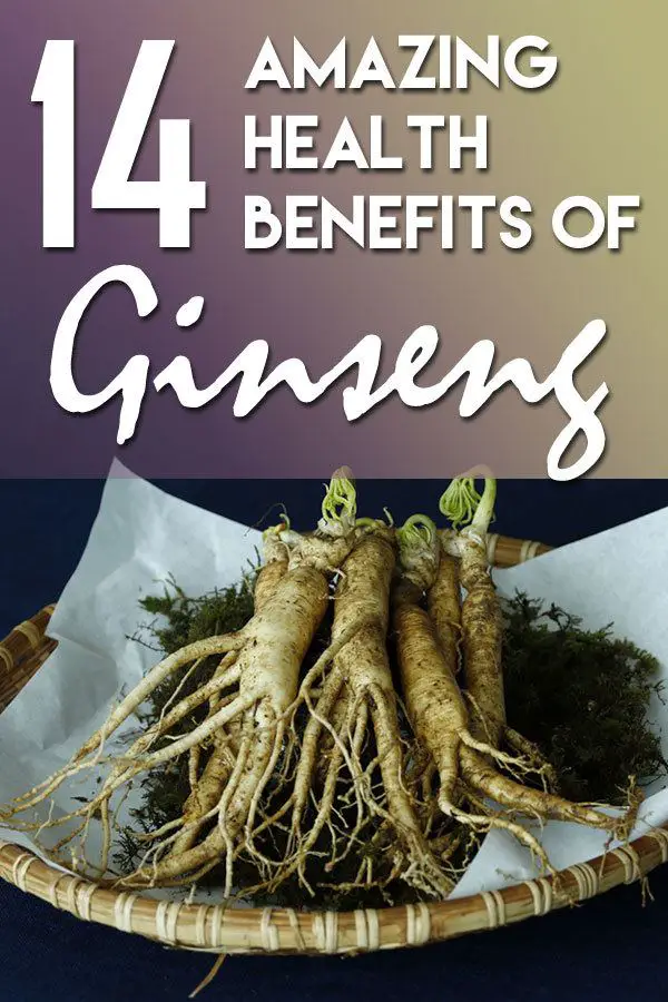 14 amazing Health Benefits of Ginseng