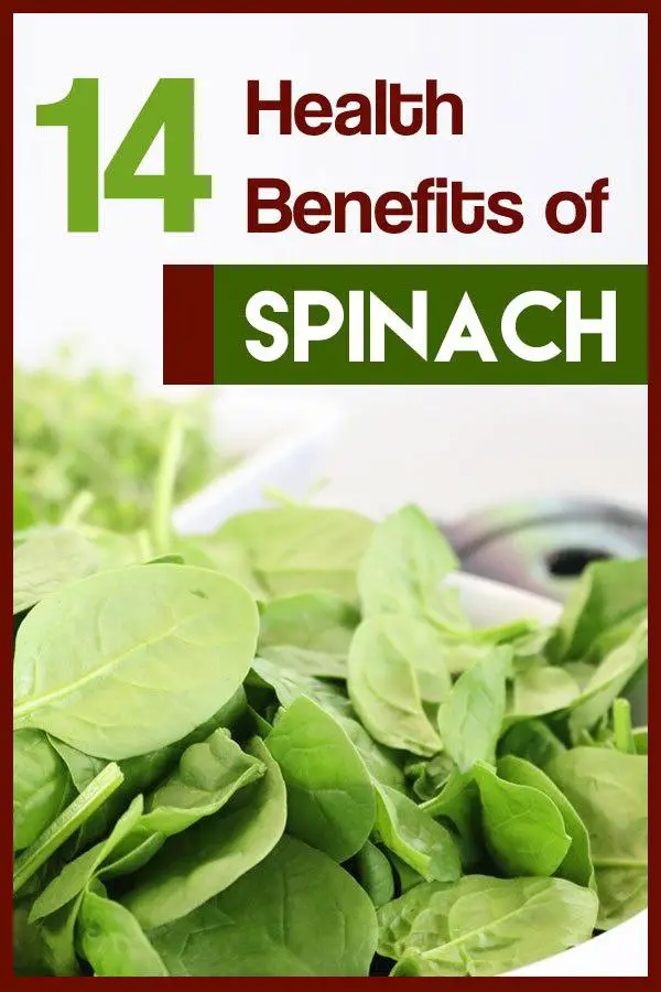 14 Health Benefits of Spinach Superfood including Weight Loss, Hair Growth & Pregnancy