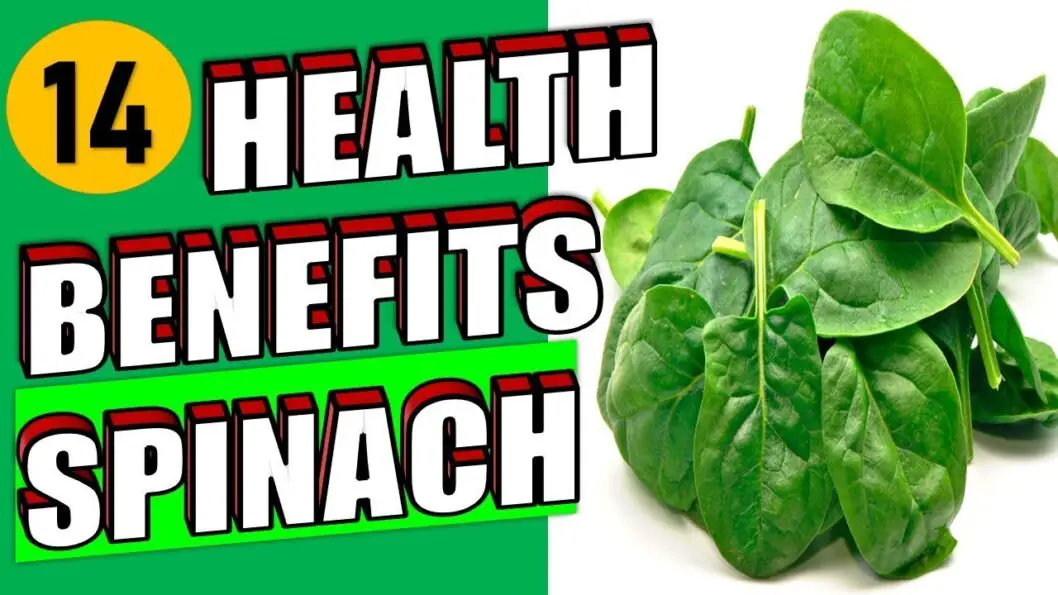 14 Health Benefits of Spinach Superfood including Weight Loss, Hair