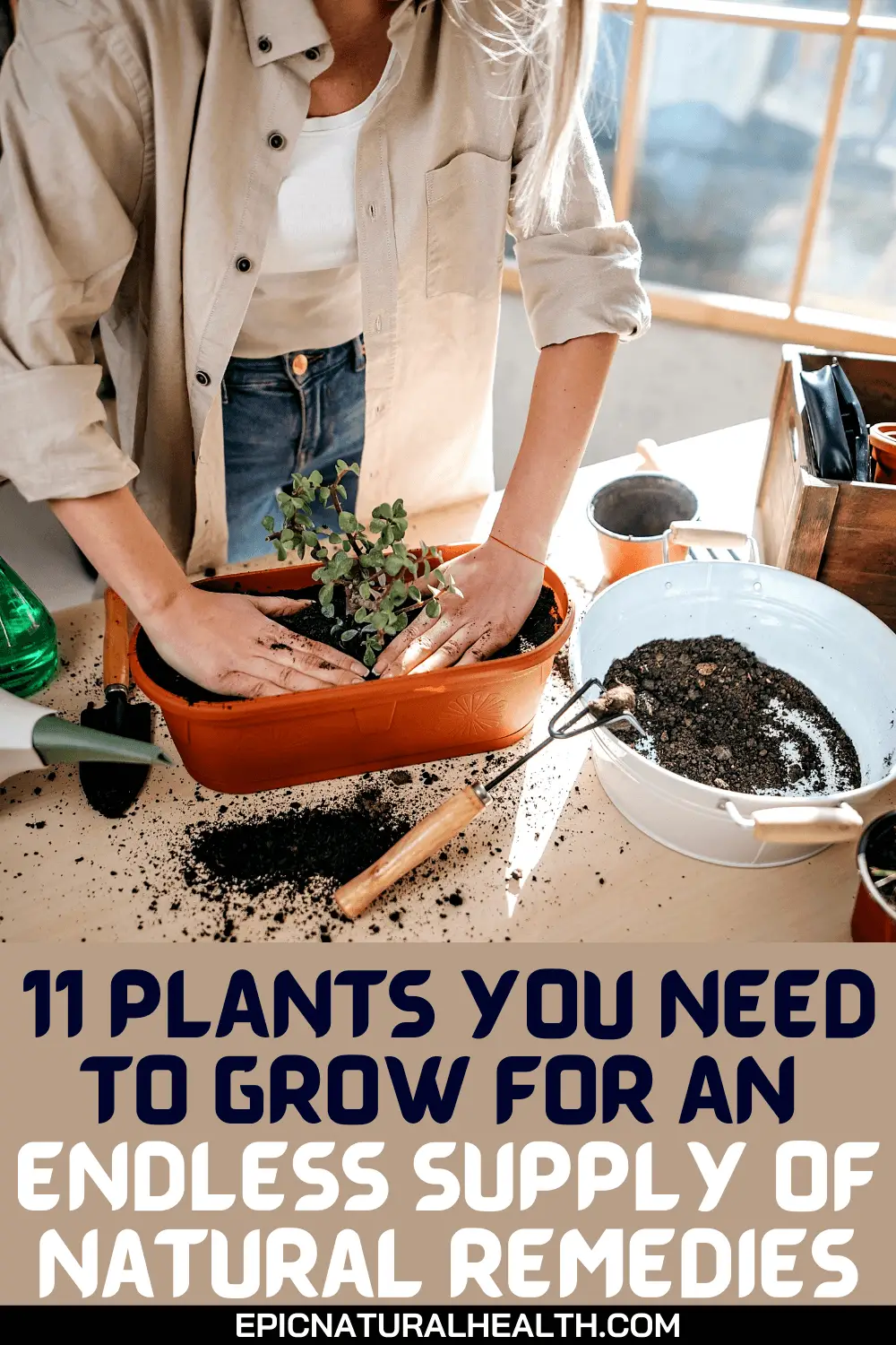 11 Plants you need to grow and endless supply of natural remedies