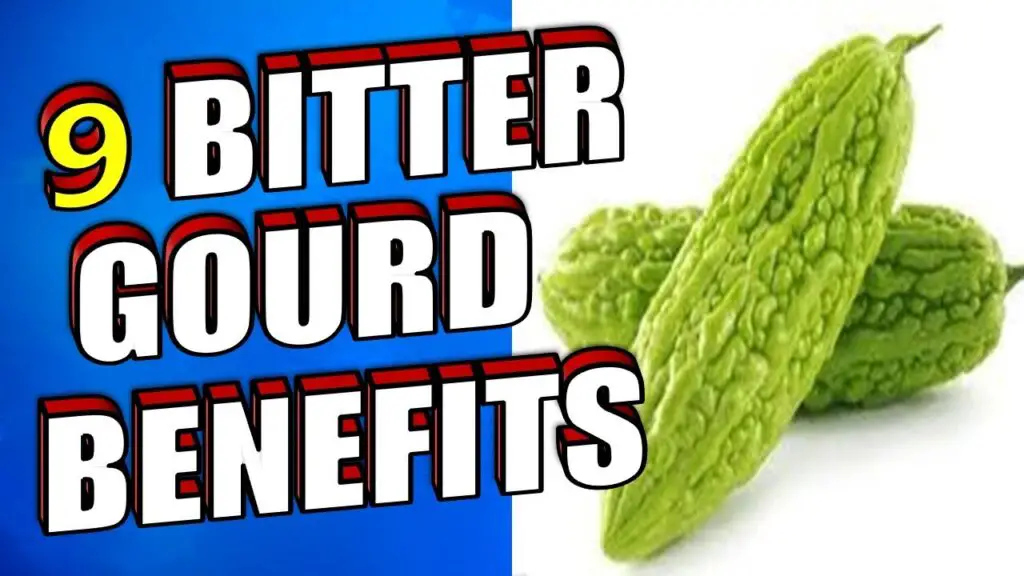 9 bitter gourd benefits