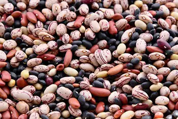 Beans are great in improving your mood