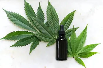 CBD oil helps improve the function of the endocannabinoid system