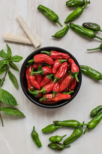 Capsaicin comes from chili peppers