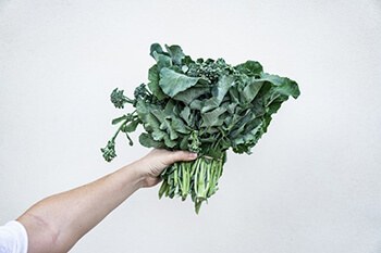 Chlorophyll in green leafy vegetables can increase procollagen