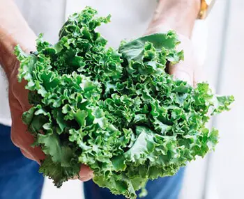 Food rich in Vitamin K that helps in blood clotting