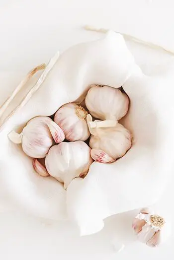Garlic has anti-microbial and antibiotic properties that are also effective in treating wounds