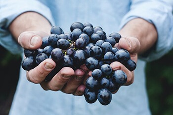 Grapes can relax blood vessels to allow blood flow to damaged back tissues