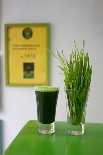 Green juice contains vegetables and fruits offering real source of multivitamins