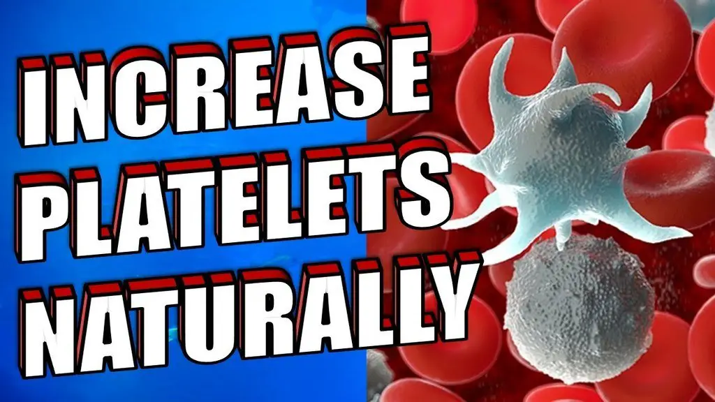 Increase Platelets Naturally