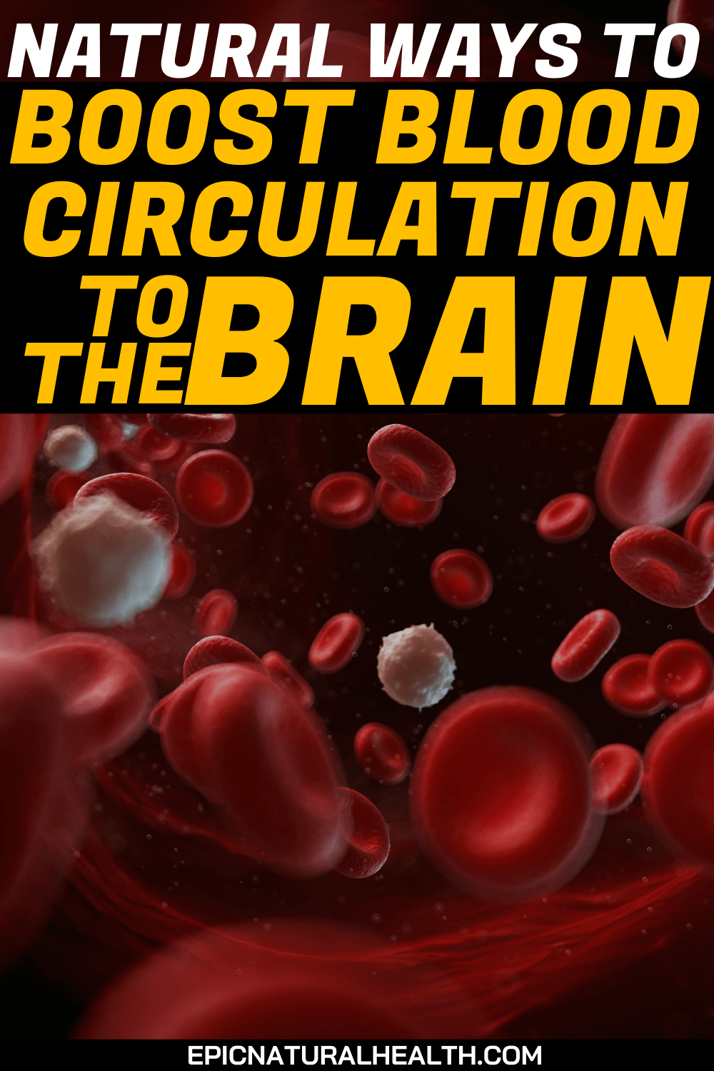 Natural Ways to Boost Blood Circulation to the Brain