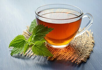 Nettle tea is effective at treating symptoms of gout