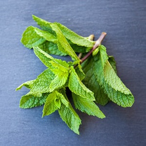 Peppermint contains menthol that relaxes muscles of the respiratory tract