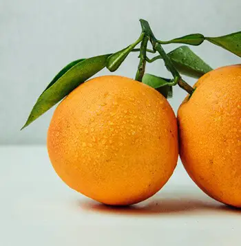 Vitamin C foods like oranges prevent free radical damage to blood platelets