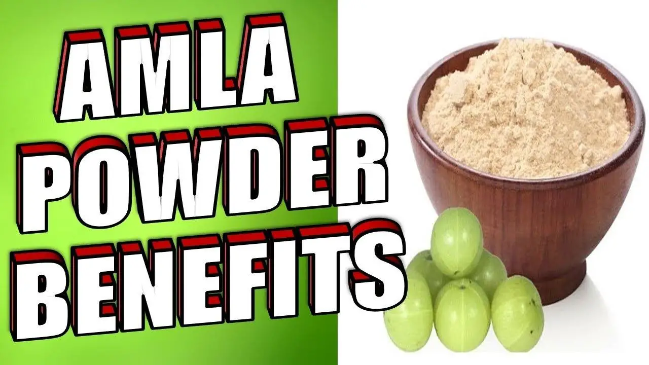 14 Powerful Amla Powder Benefits For Health and Body Epic Natural Health