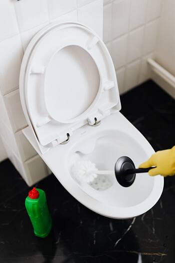 Bleach is used in toilets to remove bacteria Bleach is used in toilets to remove bacteria