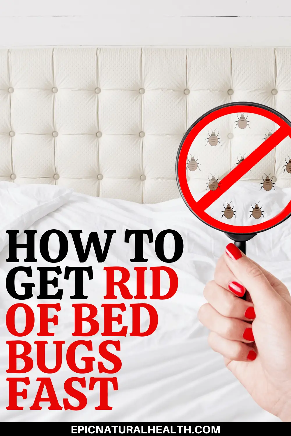 How to get rid of bed bugs fast