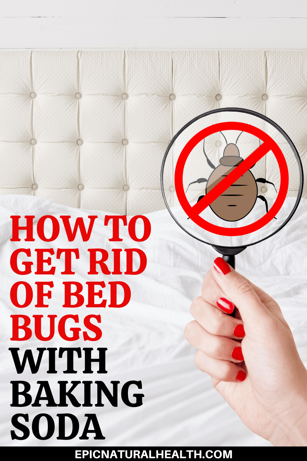 How to get rid of bed bugs with baking soda