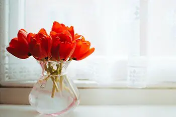 Keep your flowers fresh for a longer time by adding clorox to the water
