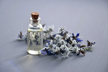 Use lavender oil to ward of bed bugs