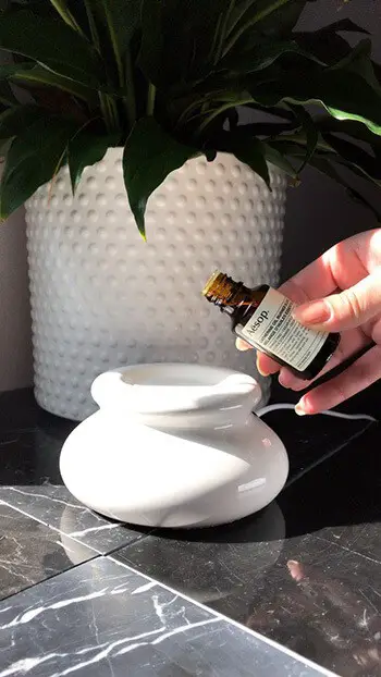 Use tea tree oil to kill bed bugs instantly