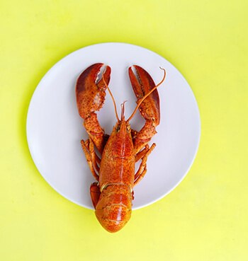 You’ll most likely experience an allergic reaction from crustacean shellfish like lobster