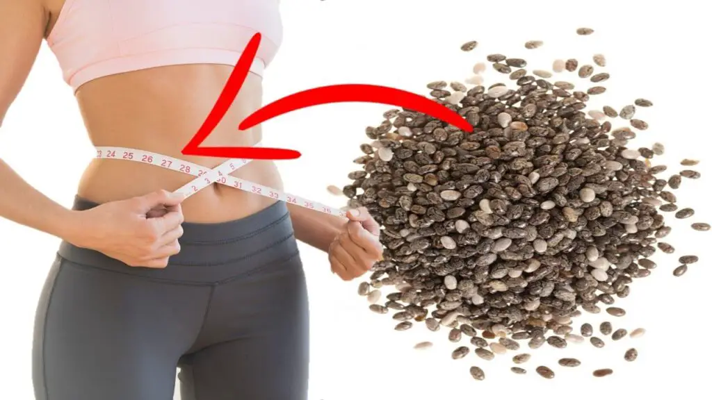 chia seeds for weight loss image