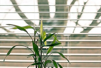 clean blinds using alcohol-soaked cloth wrapped in spatula