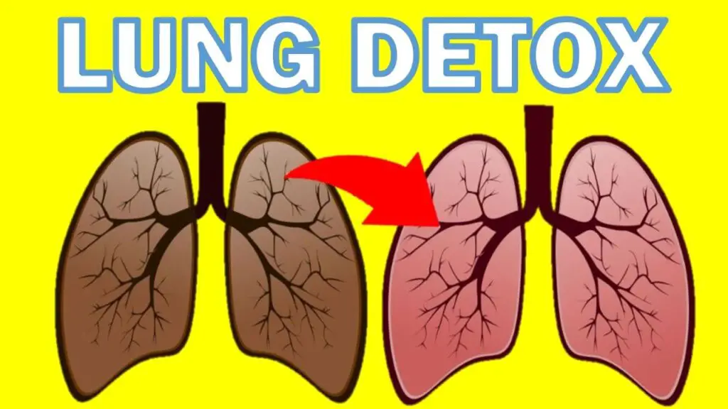 lung nicotine blog image