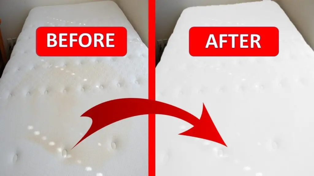urine mattress cleaner image
