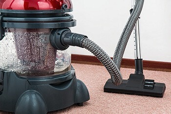 vacuum your entire home to get rid of bugs