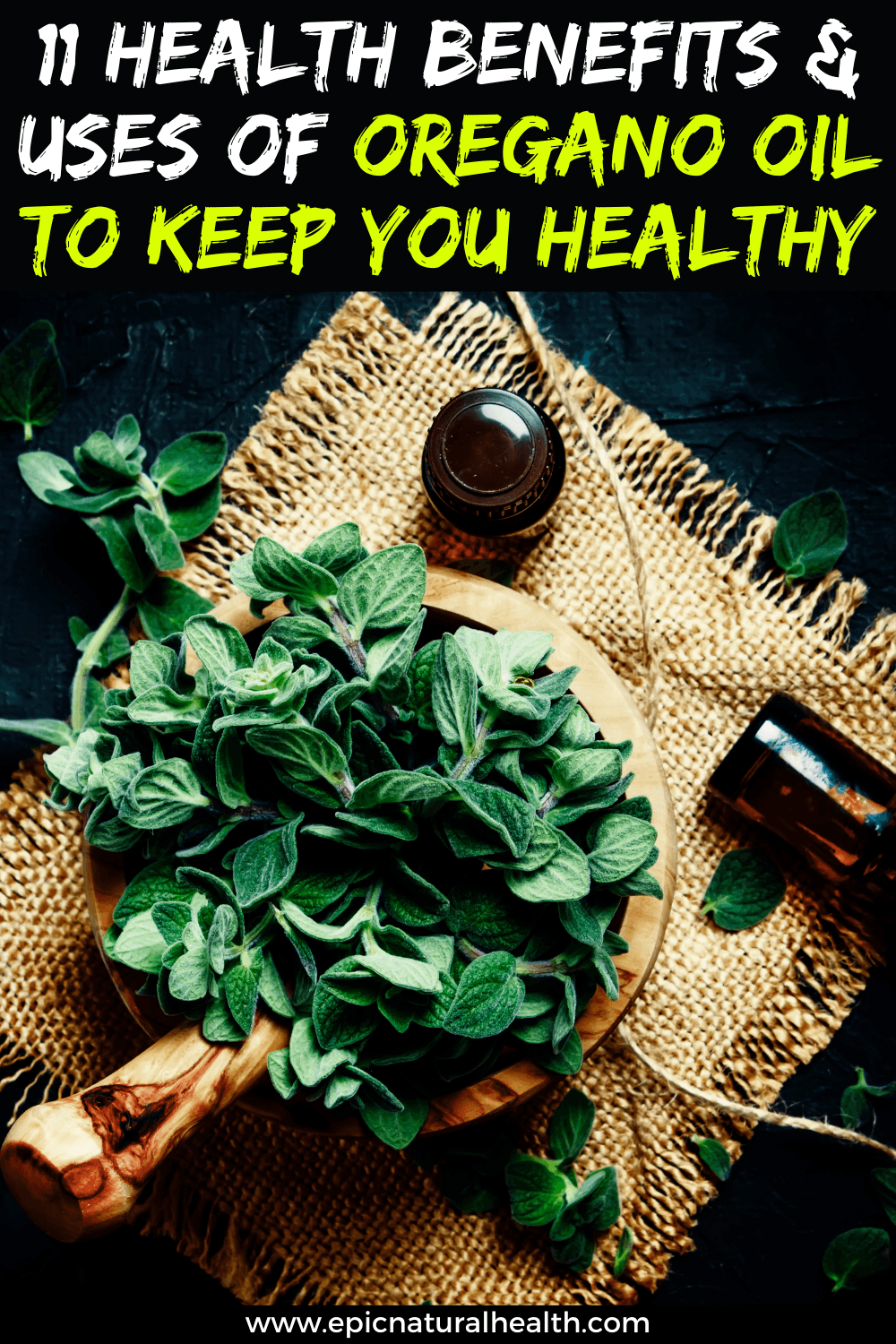 11 Health Benefits and uses of oregano oil to keep you healthy