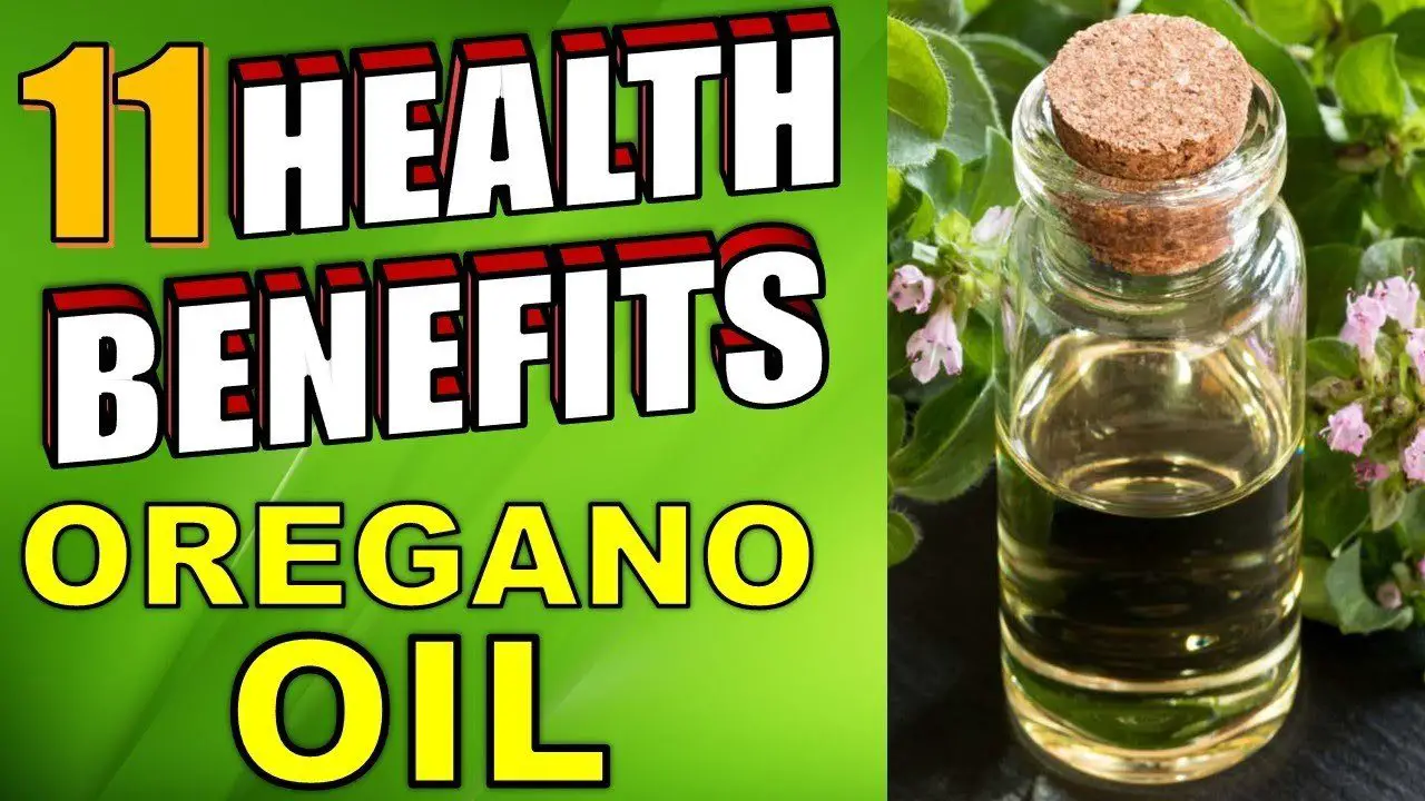 11 Health Benefits & Uses of Oregano Oil To Keep You Healthy Epic