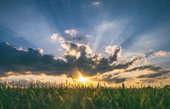 Bask in sunshine to get more vitamin D