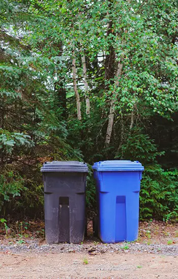 Clean your outdoor bins using zoflora