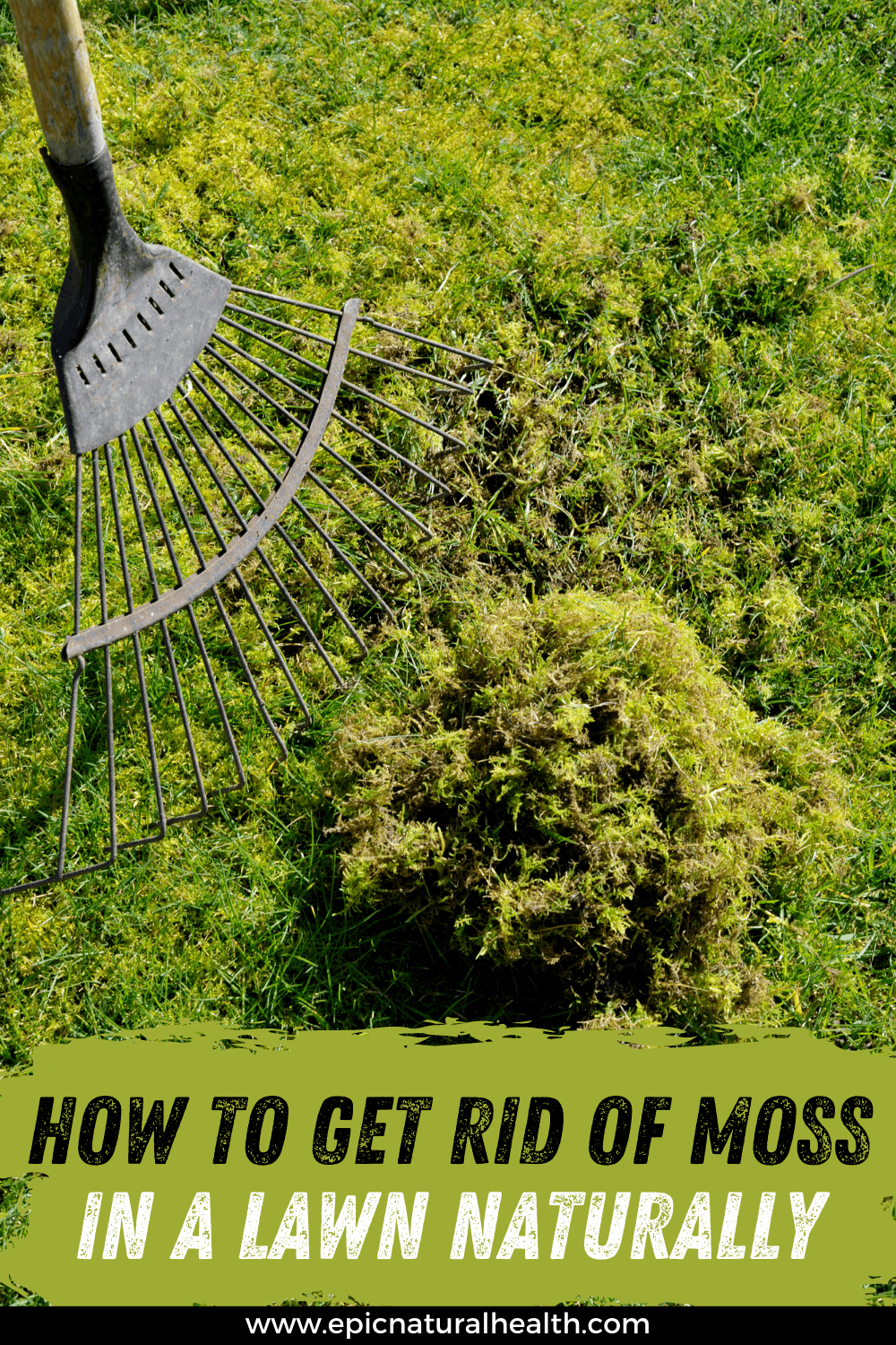 How to Get rid of moss in a lawn naturally