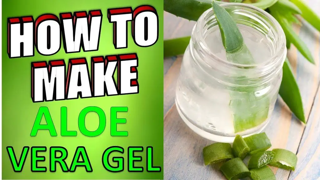 How to make aloe vera gel
