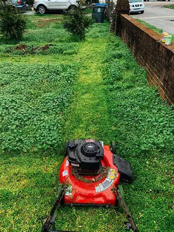 Use your lawn mower to aerate your lawn