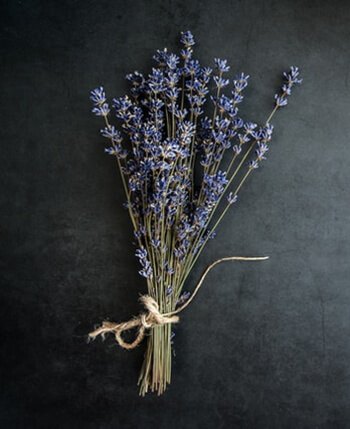 Lavender acts as natural air freshener and wards of mosquitos