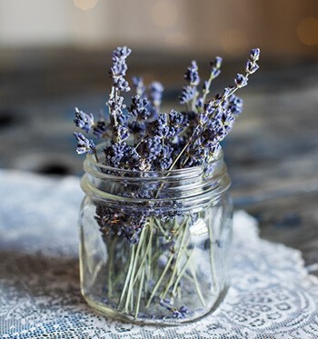 Lavender is a popular aromatherapy choice for sleep and relaxation