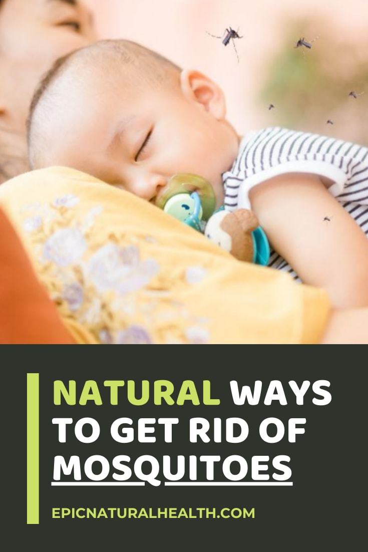 Natural ways to get rid of mosquitos