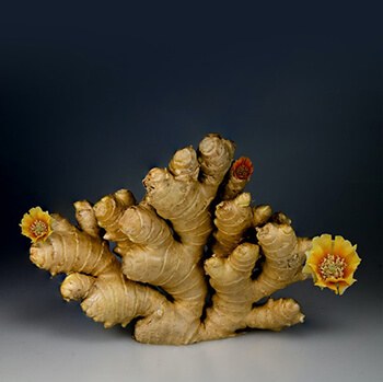 ginger has digestive and anti-inflammatory benefits
