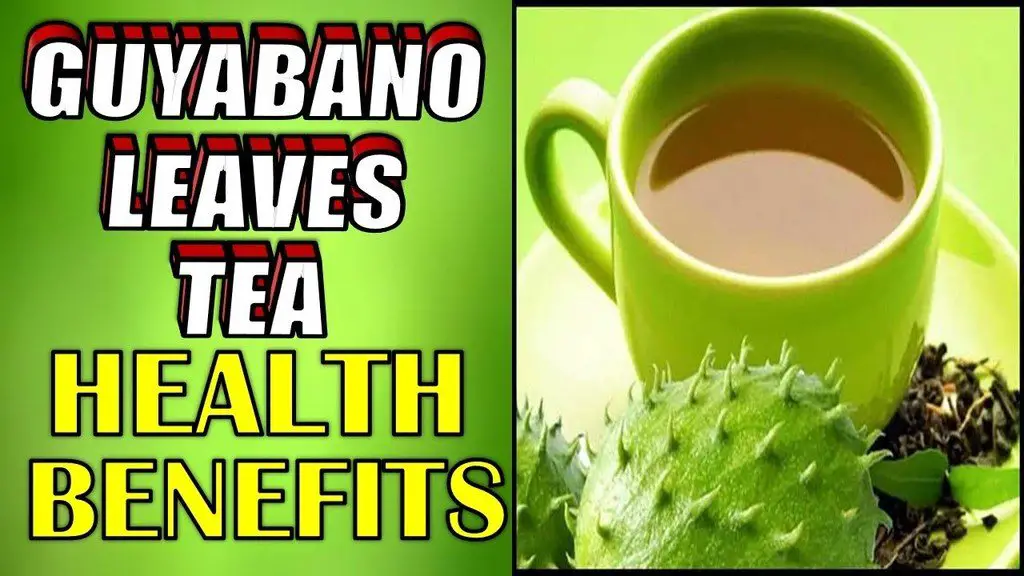 guyabano leaves tea health benefits