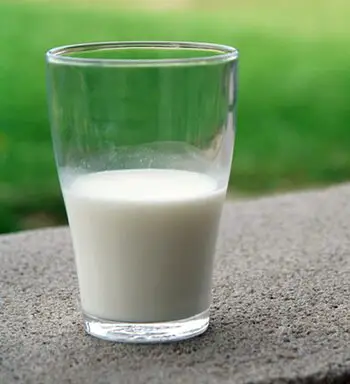 lactose intolerance causes stomach pain when someone eats milk products
