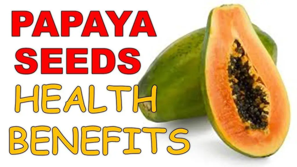 14 Wonder PAPAYA SEEDS Health Benefits including Hair, Skin, Fertility & Weight Loss - Epic Natural Health 14 Wonder PAPAYA SEEDS Health Benefits including Hair, Skin, Fertility & Weight Loss - Epic Natural Health