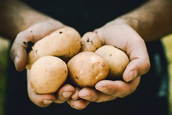 potato juice can help improve skin pigmentation